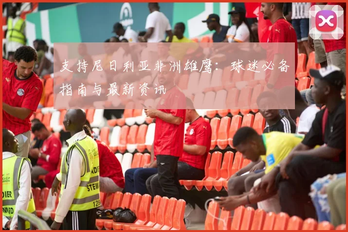 支持尼日利亚非洲雄鹰：球迷必备指南与最新资讯