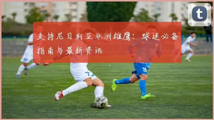 支持尼日利亚非洲雄鹰：球迷必备指南与最新资讯