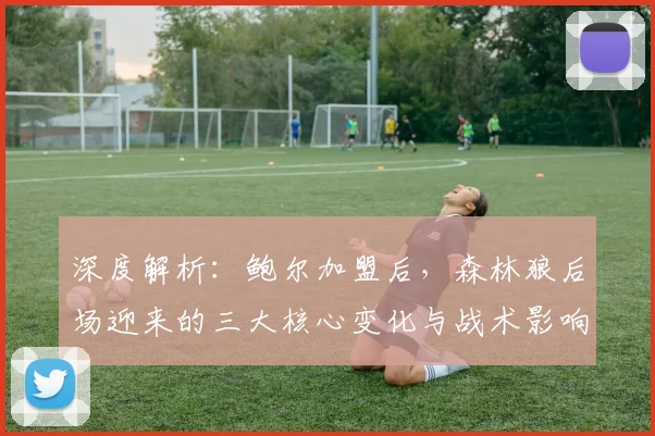 深度解析：鲍尔加盟后，森林狼后场迎来的三大核心变化与战术影响