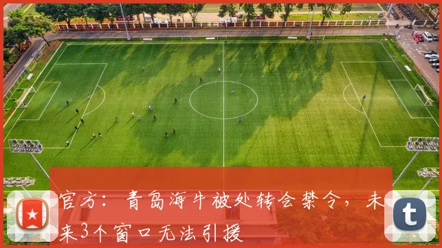 官方：青岛海牛被处转会禁令，未来3个窗口无法引援
