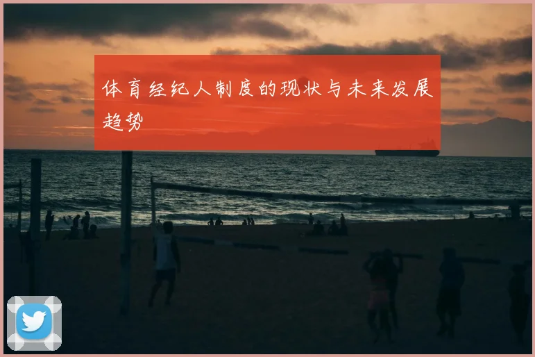体育经纪人制度的现状与未来发展趋势