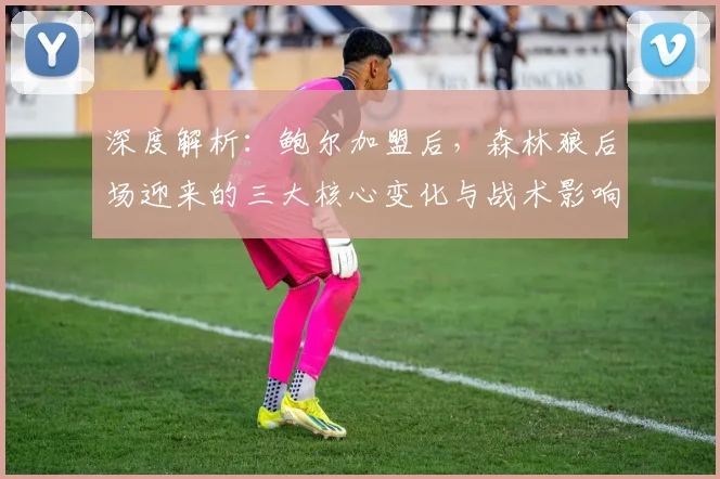 深度解析：鲍尔加盟后，森林狼后场迎来的三大核心变化与战术影响