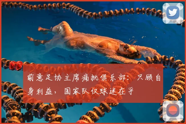 前意足协主席痛批俱乐部：只顾自身利益，国家队仅球迷在乎